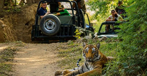 jim-corbett-packages